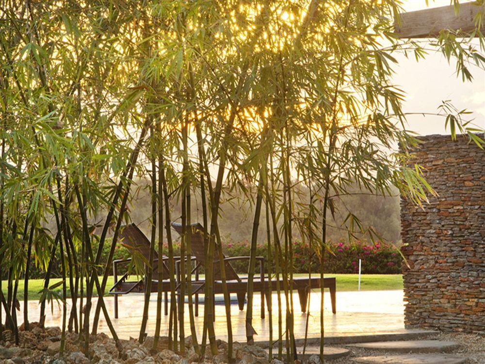 Los Altos Residences By Mint La Romana Exteriör bild